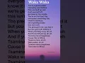 Download Lagu Waka Waka (This Time for Africa)- Shakira lyrics #wakawaka #lyrics