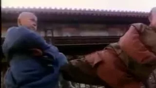 the new legend of shaolin