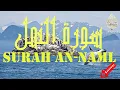Download Lagu Surah An-Naml Mohamed Seddik El Menchaoui ❤️ سورة النمل تلاوة هادئة محمد صديق المنشاوي