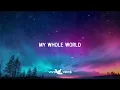 Kings of Leon - My Whole World (Lyrics)