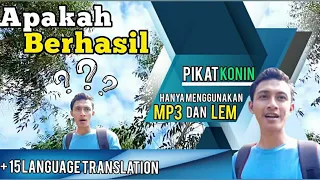 Download pikat burung kolibri ninja-hanya menggunakan mp3 dan lem pulut MP3