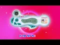 Download Lagu Jax Jones - Back In My Bed (ft MEYY)