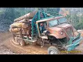 Download Lagu extreme dangerous [ logging truck ] santaiwong Malaysia the king off jangle lori balak Malaysia