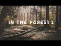 Download Lagu In The Forest 2 : Acoustic Background Music