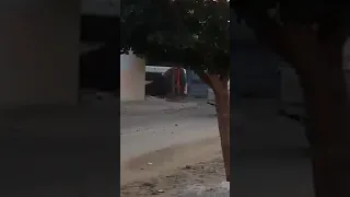 فراشيش ولاية القصرين صورة من تونس 