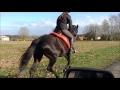 Download Lagu entrainement endurance Julie sur Aventure des pins