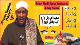 Hadii 4 Shay Lagugu Imtixaano 4 Shay Ha Halmaamin Sheikh Saalax Macalin 