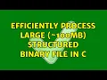 Efficiently process large 100MB structured binary file in C 2 Solutions