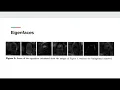 Eigenfaces