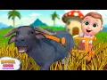 Download Lagu Lagu Tarian Hewan - Tarian Binatang | RoyalCoco Bahasa Indonesia - Lagu Anak Anak