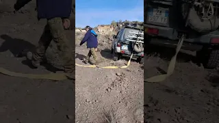                     دندنها