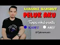Download Lagu PELUK AKU ||KARAOKE TANPA VOKAL WANITA|| #pelukaku #cacahandika #erlyrose #karaokeduet