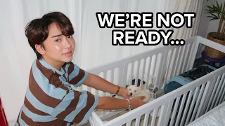 we're getting a DOG in japan...