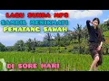 Download Lagu LAGU SUNDA MP3 SAMBIL MENIKMATI PEMATANG  SAWAH DI SORE HARI