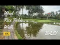 Download Lagu [4K] Quick Escape From Ubud Hustle | Magical Juwuk Manis \u0026 Kajeng Rice Field Bali Walking Tour