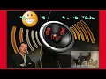 Download Lagu Pentru un cocos si o vaca #cover