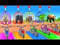 Download Lagu Long Slide Game With Cow Elephant Gorilla Hippopotamus Tiger 3d Animal Game Funny 3d Animals