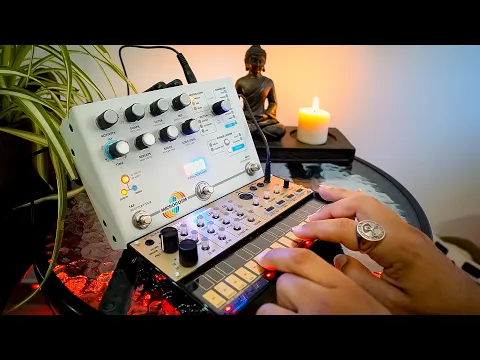 Hologram Microcosm Multi-Mode Granular Looper/Delay | Delicious Audio
