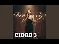 CiDRO 3