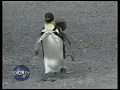 Lala Penguin gaat winkelen in Japan