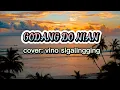 Download Lagu GODANG DO NIAN| Anis gea Ft. Onsimson| cover vino sigalingging (lirik/cover)