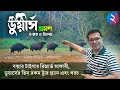Download Lagu Dooars Tour | EP 2 | 3 Different Dooars Tour Plan | Buxa Tiger Reserve Safari | Buxa Fort