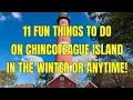11 Fun Things to Do on Chincoteague Island VA in Winter or Anytime