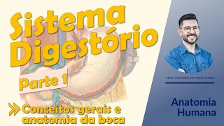 Sistema Digestório - Aula 01 - Conceitos gerais, anatomia da boca, dos dentes e das fauces