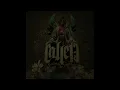 Calle 13 - Un Beso de Desayuno (Cover Audio Video)