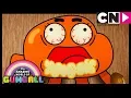 Gumball | Please Will You Stop Eating Us? | The Potato | Cartoon Network