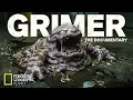 Lagu Pokémon Real Life – NatGeo Planet: Grimer \u0026 Muk | The Biology of Toxic Sludge