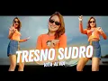 Download Lagu Vita Alvia - Tresno Sudro (Official Music Video ANEKA SAFARI)