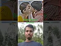 Download Lagu #madam ka lips pe kis Kiya Chhota baccha #cute #love #short video#