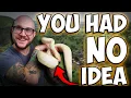 5 Things You DIDN T KNOW ABOUT BALL PYTHONS But Must Know BEFORE You Get One