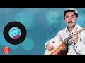 Zafer Ertaş - İğdenin Dalı