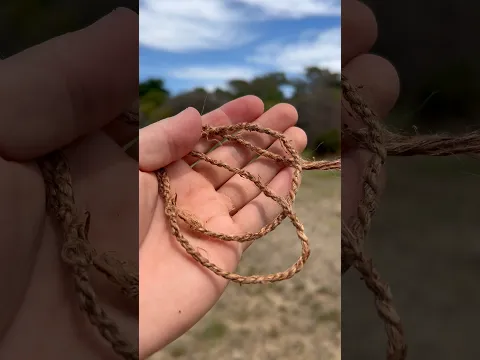 Making String from Plants