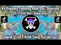 Download Lagu DJ CINTA DARI SEBERANG REMIX || KU PANDANG PANDANG ADIK DARI SEBERANG VIRAL TREND TIKTOK TERBARU!!