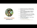User Authentication Masterclass with Angular