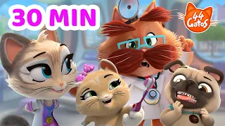 44 Gatos | ¿Te duele algo? 🩺 ¡Ya vienen los doctores! 🐾