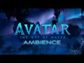 Download Lagu Avatar: The Way of Water | Night | Ambient Soundscape