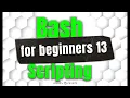 Case Statements In Bash - Bash Scripting For Beginners 13