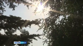 Август в Омской области начнётся с 30-градусной жары, шквалистого ветра и тумана