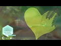 ABMP Meditate Move Meditation for Self-Love