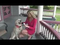Facebook page reunites lost dogs with owners