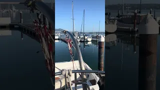 Good morning from Violet and Jonathan aboard sailing UV. #boatlife #petsofyoutube #sailing #travel