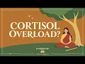 CORTISOL OVERLOAD? 🌿 | Gentle Morning Bansuri to Calm Stress & Feel Lighter