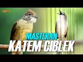 Download Lagu MASTERAN KAPAS TEMBAK  DAN CIBLEK KRISTAL SUPER NEMBAK