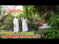 Download Lagu G4WAT NIH..HARUS DI OUT KAH POHONNYA???ATAU..??? INI JAWABAN DARI SYEKH AHMAD AL MISRY