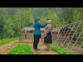 Download Lagu Polisi datang untuk membantu ibu tunggal Tieu Ca meningkatkan lahan untuk menanam semangka