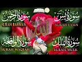Download Lagu Surah Yaseen (Yaseen) 🕌🌳🌟🌲 Find Your Inner Peace with Daily Blessings ✨🤲